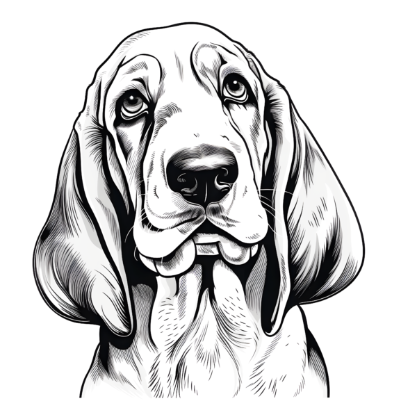 A Beagle Dog Coloring Book - Image 2